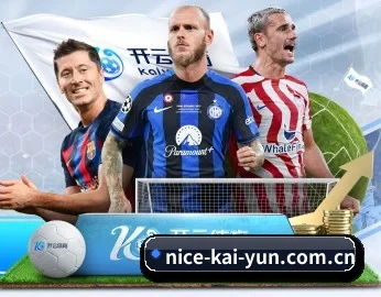 kaiyun APP 深度功能